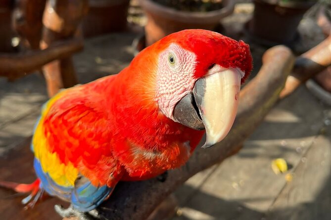 pricensa del mar - playa tranquila - baru - cartagena 05