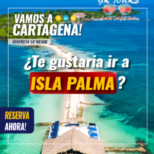 reserva isla palma