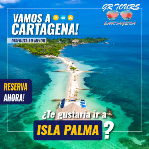 Tour isla palma