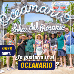 4 destinos con oceanario