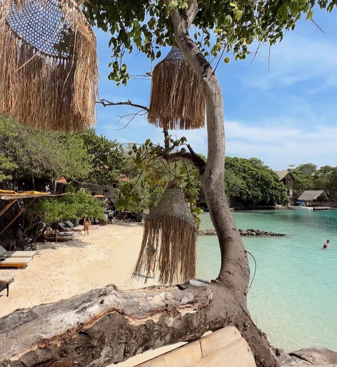 🌴 PAUE BEACH CLUB - Image 5