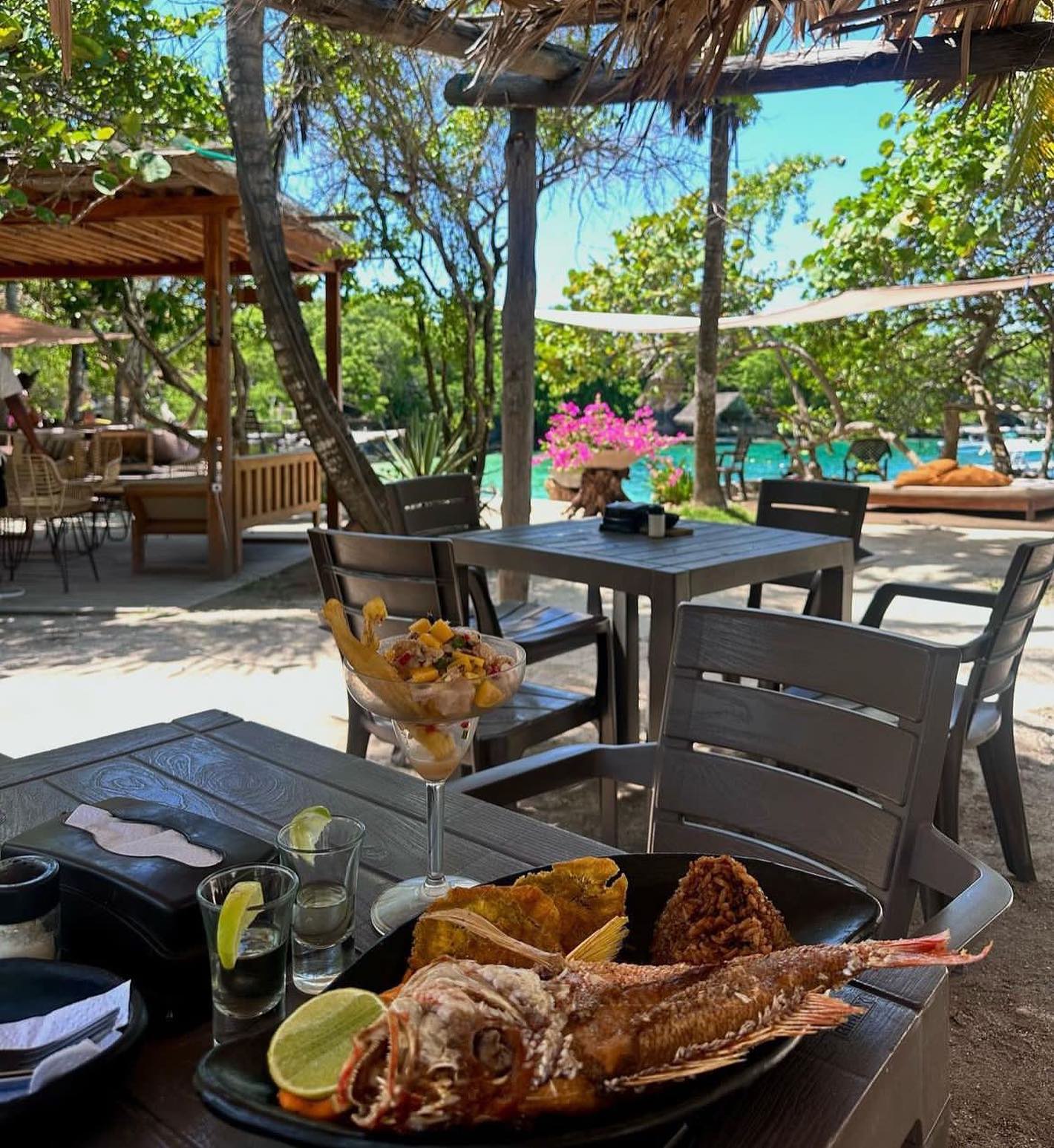 🌴 PAUE BEACH CLUB - Image 3