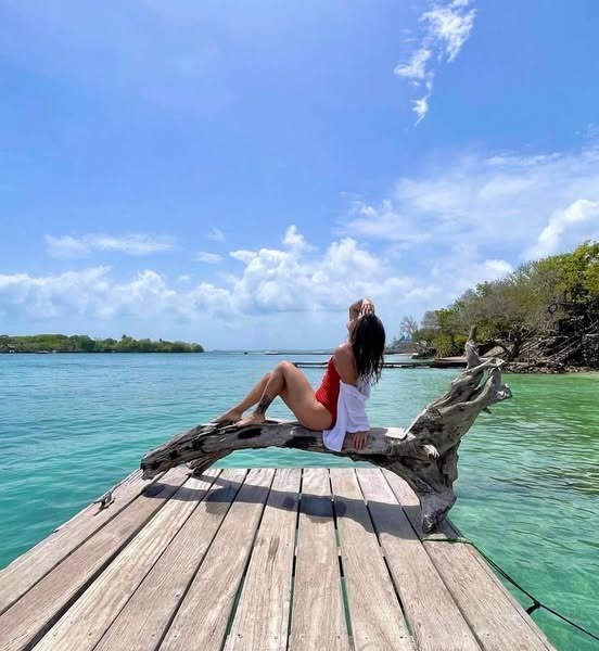 🌴 PAUE BEACH CLUB - Image 11