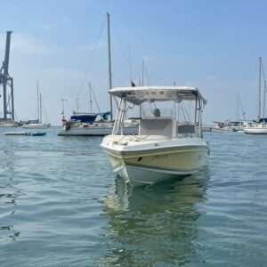 Lancha – FREE 29 pies