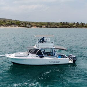 Yate - Bertram 36 pies