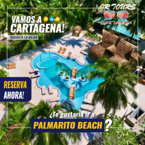 Palmarito Beach – Pasadía VIP frente al Mar 🌊✨