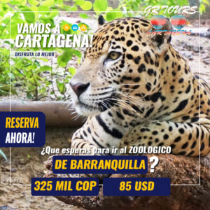 tour de barranquilla y zoologico